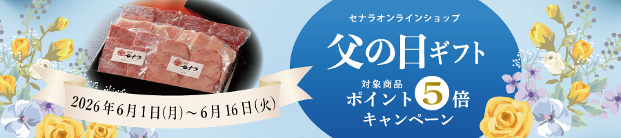 焼肉セナラオンラインショップの父の日ギフトキャンペーン
